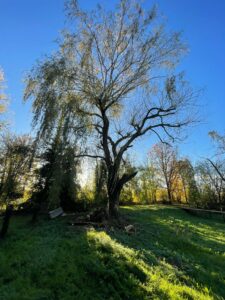 021955a9-2269-4cb2-bef9-04db54b1fad9