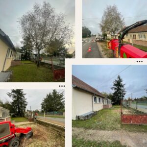 12e30d4c-7b77-46df-937d-c0ec523e110d