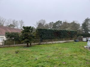 1485652c-a1dc-4e73-9cf8-80b0e4d02b48