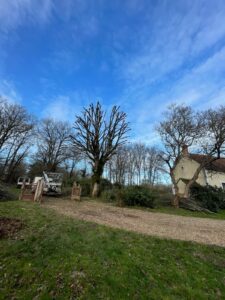 2509558c-f2c8-47a0-b0ed-6675832da67e