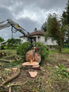 2b6b7b11-7f77-46f4-aa5b-ffd9b0afed12