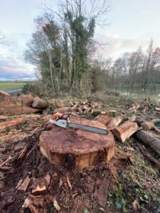 4392d628-0df3-4845-881d-56b3e369ab29