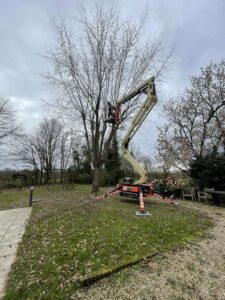 7abe1935-e753-48a0-9221-5b9cdd11ed90