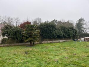 7e89616a-8238-4e74-9c38-bc77d6580ab1