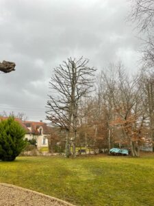 d5c534d6-cfad-428d-b8fa-e5ca5ec1909a