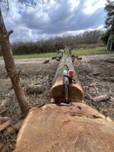 e35f9285-536e-4a70-a279-9680babbeee9