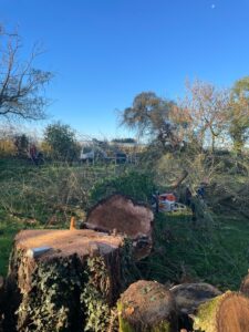 f0719716-996b-4f8f-bd2f-12023afd9848