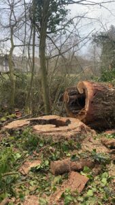 f2ab6977-40d2-4aaf-b991-6b380ad11dbc