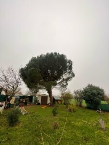 fcf07613-b09c-47a0-b3de-63b3526b9a0a